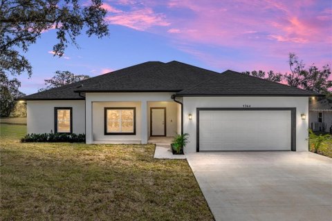 Villa ou maison à vendre à Dade City, Floride: 4 chambres, 216.93 m2 № 1554683 - photo 1
