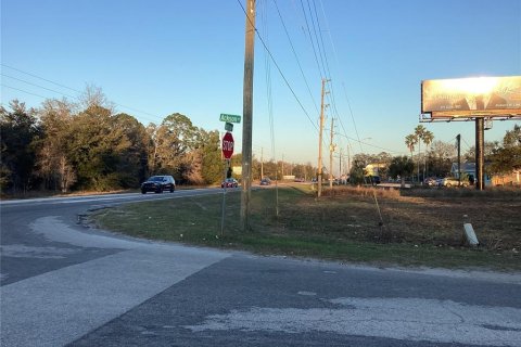 Land in Spring Hill, Florida № 1513697 - photo 3