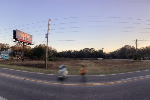 Land in Spring Hill, Florida № 1513697 - photo 29