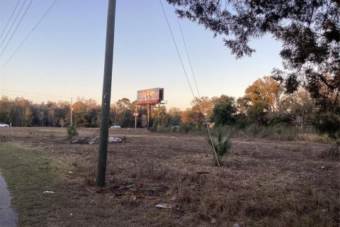 Land in Spring Hill, Florida № 1513697 - photo 14