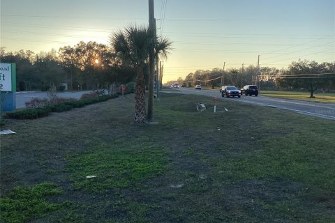 Land in Spring Hill, Florida № 1513697 - photo 4