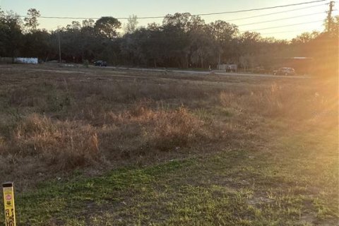 Land in Spring Hill, Florida № 1513697 - photo 5