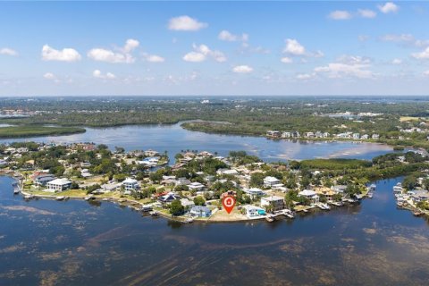 House in Palm Harbor, Florida 4 bedrooms, 315.96 sq.m. № 2095432 - photo 11