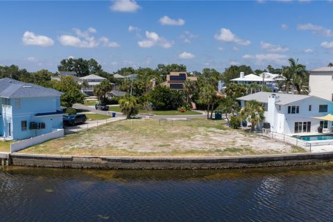 House in Palm Harbor, Florida 4 bedrooms, 315.96 sq.m. № 2095432 - photo 16