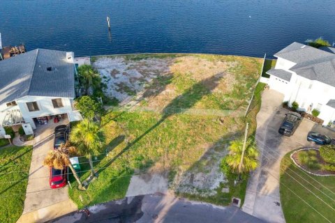 House in Palm Harbor, Florida 4 bedrooms, 315.96 sq.m. № 2095432 - photo 4