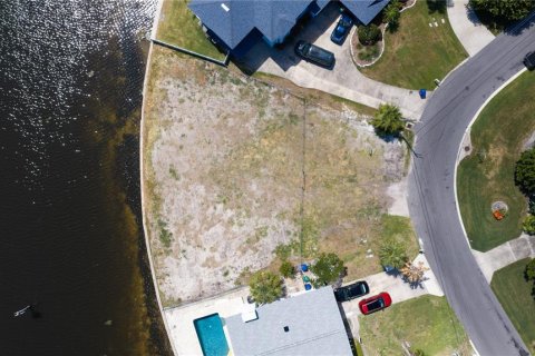 House in Palm Harbor, Florida 4 bedrooms, 315.96 sq.m. № 2095432 - photo 15