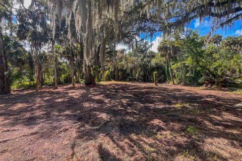 Land in New Smyrna Beach, Florida № 2386067 - photo 4