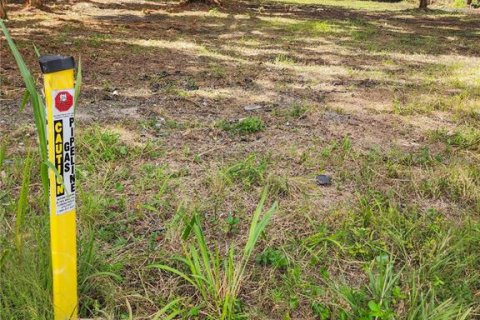 Land in New Smyrna Beach, Florida № 2386067 - photo 5