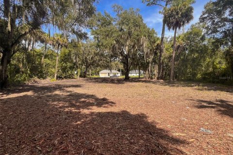 Land in New Smyrna Beach, Florida № 2386067 - photo 3