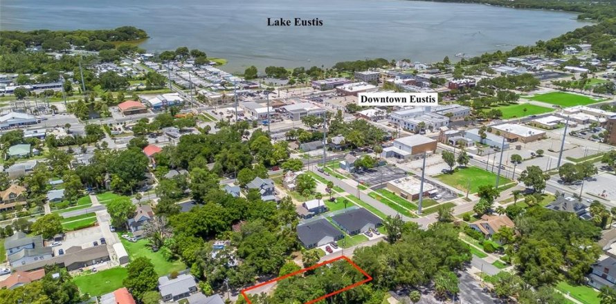 Terrain à Eustis, Floride № 1788250