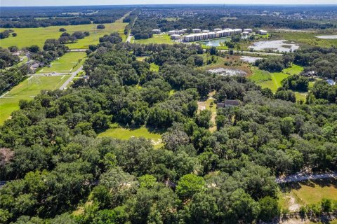 Commercial property in The Villages, Florida № 915134 - photo 4