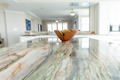 Condo in Saint Petersburg, Florida, 4 bedrooms № 2198469 - photo 10