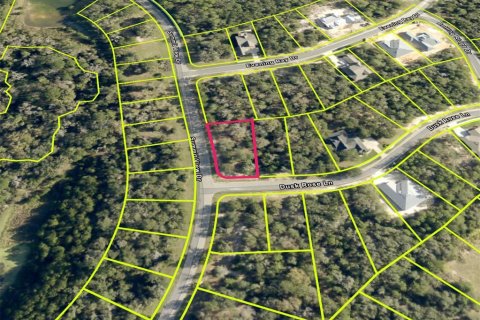Land in Brooksville, Florida № 1767937 - photo 1