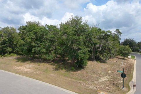 Land in Brooksville, Florida № 1767937 - photo 6