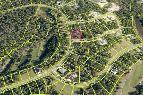 Land in Brooksville, Florida № 1767937 - photo 5