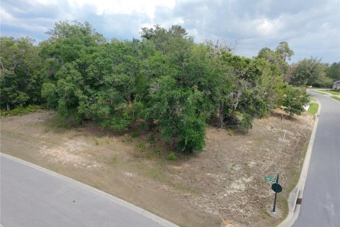 Land in Brooksville, Florida № 1767937 - photo 4