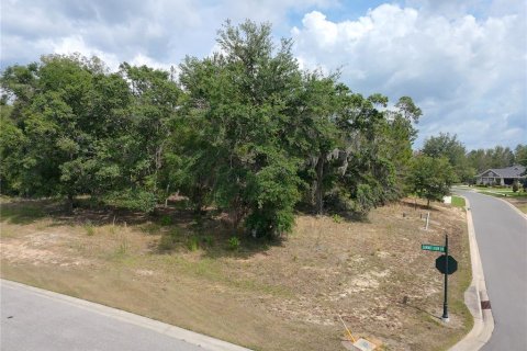 Land in Brooksville, Florida № 1767937 - photo 2