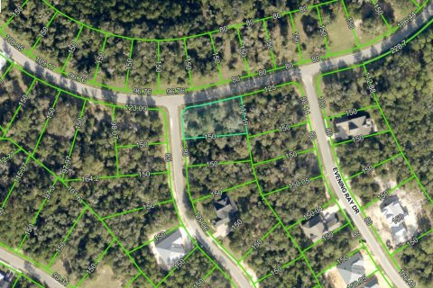 Land in Brooksville, Florida № 1767937 - photo 3