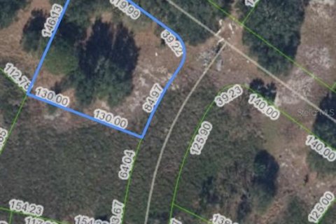 Land in Sebring, Florida № 2162987 - photo 3