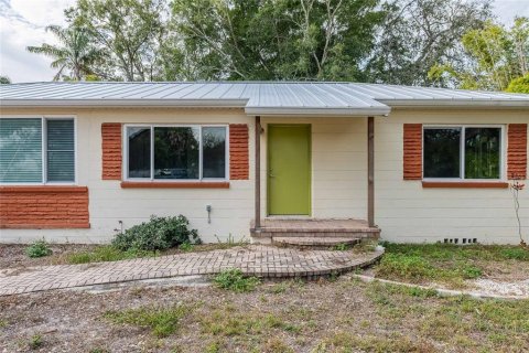Land in Tampa, Florida № 2092965 - photo 14