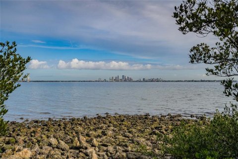 Land in Tampa, Florida № 2092965 - photo 8