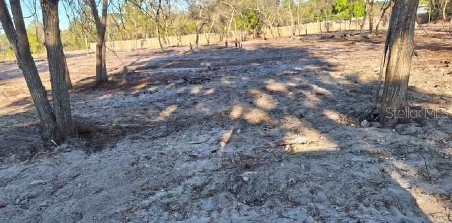Terreno en Orlando, Florida № 1750190