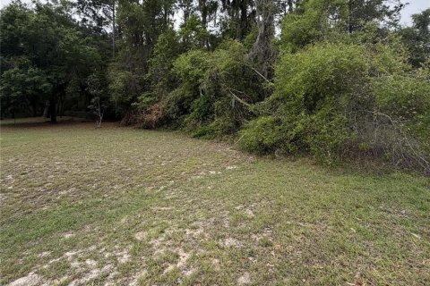 Terreno en Hawthorne, Florida № 2158975