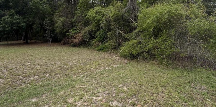 Land in Hawthorne, Florida № 2158975