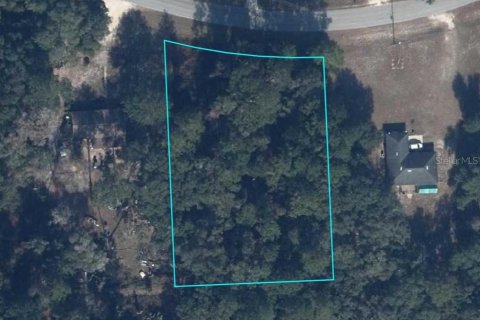 Land in Hawthorne, Florida № 2158975 - photo 2