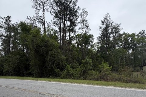Land in Hawthorne, Florida № 2158975 - photo 6