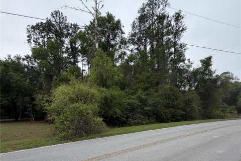 Land in Hawthorne, Florida № 2158975 - photo 4