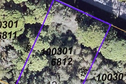 Land in North Port, Florida № 2162565 - photo 2