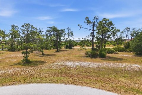 Terreno en venta en Placida, Florida № 2099485 - foto 10