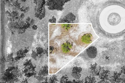 Terreno en venta en Placida, Florida № 2099485 - foto 5
