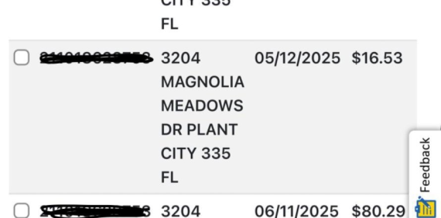 Casa en Plant City, Florida 4 dormitorios, 263.01 m2 № 1815138