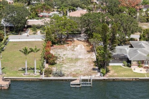 House in Tampa, Florida 6 bedrooms, 687.48 sq.m. № 2127457 - photo 26