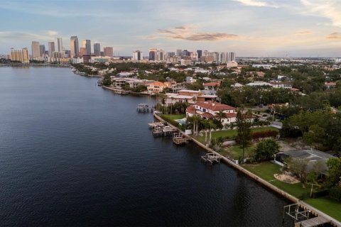 House in Tampa, Florida 6 bedrooms, 687.48 sq.m. № 2127457 - photo 7