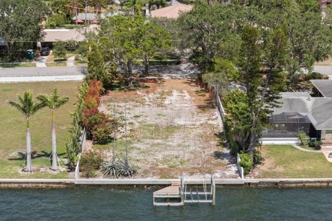 House in Tampa, Florida 6 bedrooms, 687.48 sq.m. № 2127457 - photo 27