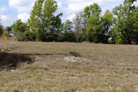 Land in Cape Coral, Florida № 1525753 - photo 1