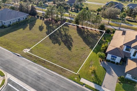 Terrain à Lake Alfred, Floride № 2155785