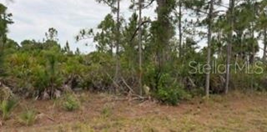 Land in Port Charlotte, Florida № 2199816
