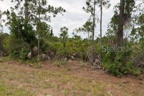Land in Port Charlotte, Florida № 2199816 - photo 2