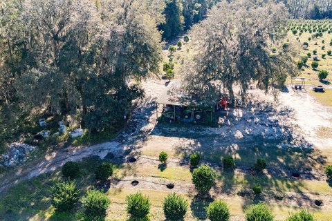 House in Reddick, Florida 2 bedrooms, 114.36 sq.m. № 1554193 - photo 14