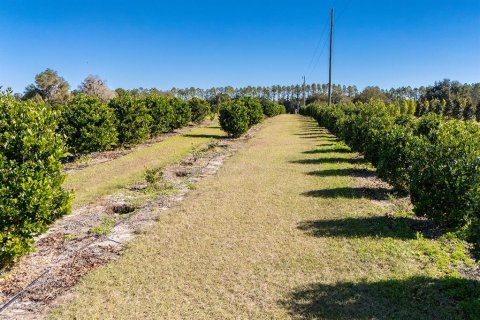 House in Reddick, Florida 2 bedrooms, 114.36 sq.m. № 1554193 - photo 24