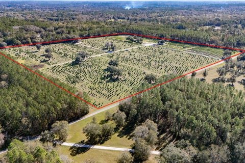 House in Reddick, Florida 2 bedrooms, 114.36 sq.m. № 1554193 - photo 1