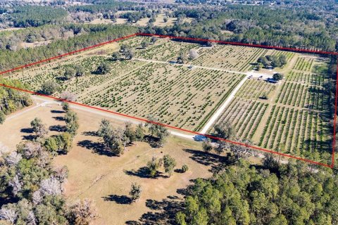 House in Reddick, Florida 2 bedrooms, 114.36 sq.m. № 1554193 - photo 3