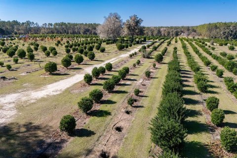 House in Reddick, Florida 2 bedrooms, 114.36 sq.m. № 1554193 - photo 6