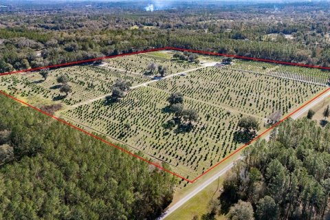 House in Reddick, Florida 2 bedrooms, 114.36 sq.m. № 1554193 - photo 11