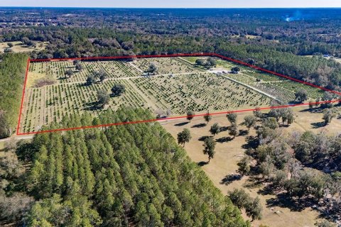 House in Reddick, Florida 2 bedrooms, 114.36 sq.m. № 1554193 - photo 9