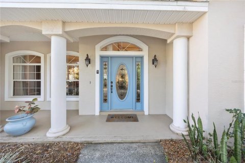 House in Port Orange, Florida 5 bedrooms, 327.57 sq.m. № 2102507 - photo 15